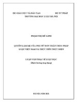 Luận văn thạc sĩ Luật học: Quyền làm mẹ của phụ nữ đơn thân theo pháp luật Việt Nam và thực tiễn thực hiện