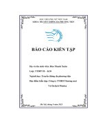 Báo cáo kiến tập công ty tnhh thương mai và du lịch monisa