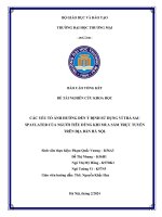 Các yếu tố ảnh hưởng đến ý định sử dụng ví trả sau spaylater của người tiêu dùng khi mua sắm trực tuyến trên địa bàn hà nội
