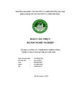 Báo Cáo Thực Hành Nghề Nghiệp Công Ty Tnhh Phát Triển Công Nghệ Và Hạ Tầng Kĩ Thuật Côn Sơn.pdf