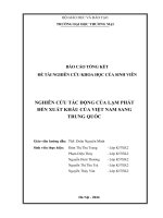 Nghiên cứu tác động của lạm phát đến xuất khẩu của việt nam sang trung quốc