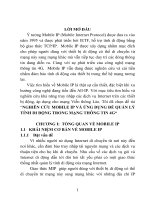 Nghiên cứu mobile ip và ứng dụng quản lý tính di động trong mạng thông tin 4G