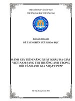 Đánh giá tiềm năng xuất khẩu da giày việt nam sang thị trường anh trong bối cảnh anh gia nhập cptpp