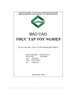 Báo Cáo Thực Tập Tốt Nghiệp Công Ty Cổ Phần Tập Đoàn Quốc Tế Đông Á.pdf