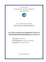 XÂY DỰNG KẾ HOẠCH MARKETING CHO SẢN PHẨM KẸO DẺO BOOM BIRD JELLY BẰNG AI