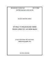 Luận văn thạc sĩ Luật học: Xử phạt vi phạm hành chính trong lĩnh vực an ninh mạng