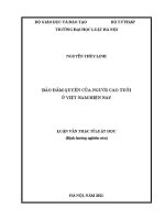 Luận văn thạc sĩ Luật học: Bảo đảm quyền của người cao tuổi ở Việt Nam hiện nay
