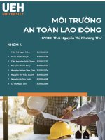 Case sttiểu luận udy final bạn vừa được bổ nhiệm vào vị trí giám đốc điều hành một nhà máy hóa chất  năm rồi có nhiều tai nạn và có khoảng trên 15 người tử vong