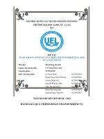 Đề tài mascara floweyes và chiến dịch marketing mixcủa sản phẩm