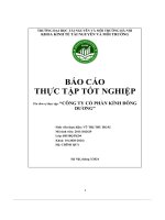 Báo cáo thực tập tốt nghiệp “công ty cổ phần kính đông dương
