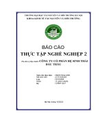 Báo cáo thực tập nghề nghiệp 2 công ty cổ phần hệ sinh thái đấu thầu