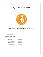Bài tập lớn môn toán kinh tế ii