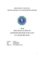 Đề tài phân tích các nhân tố ảnh hưởng đến hành vi mua sắm của người tiêu dùng
