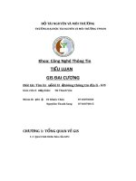 Tiểu luận gis đại cương đề tài tìm hiểu về hệ thốống thống tin địa lí   gis