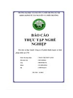 Báo cáo thực tập nghề nghiệp tên đơn vị thực hành công ty cổ phần huấn luyện và giải pháp nhân sự cns