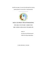 Báo cáo phân tích tình huống the great inventory correction điều chỉnh lượng hàng tồn kho lớn