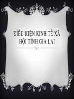 Tiểu Luận- Địa Lý Du Lịch - Đề Tài - Điều Kiện Kinh Tế Xã Hội Tỉnh Gia Lai