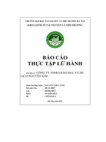 Báo cáo thực tập lữ hành tại công ty tnhh giáo dục và du lịch nguyễn kim