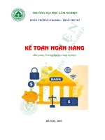 Bài giảng kế toán ngân hàng