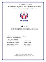 Báo cáo đánh giá cảm quan