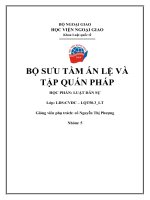 Bộ sưu tầm án lệ và tập quán pháp
