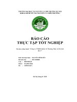 Báo cáo thực tập tốt nghiệp công ty tnhh quốc tê thương mại và du lịch dlt”