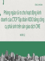 Phòng ngừa rủi ro cho hoạt động kinh doanh của ctcp tập đoàn kido bằng công cụ phái sinh trên sàn giao dịch cme