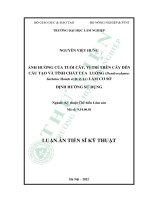 Ảnh hưởng của tuổi cây, vị trí trên cây đến cấu tạo và tính chất của luồng (dendrocalamus barbatus hsueh et d  z  li) làm cơ sở định hướng sử dụng