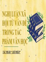 Tiểu luận nghị luận xã hội từ vấn đề trong tác phẩm văn học tác phẩm chí phèoo