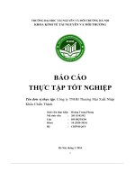 Báo cáo thực tập tốt nghiệp công ty tnhh thương mại xuất nhập khẩu chiến thành