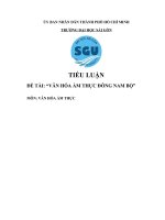 Tiểu Luận - Văn Hóa Ẩm Thực Đông Nam Bộ