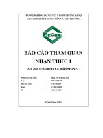 Báo cáo tham quan nhận thức 1 tên đơn vị công ty cổ phần shinec