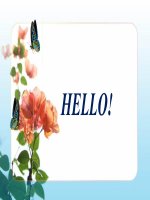 Tuân 31 pcnn hành chính