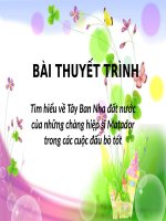 Tiểu Luận - Tìm Hiểu Về Tây Ban Nha Đất Nước Của Những Chàng Hiệp Sĩ Matador Trong Các Cuộc Đấu Bò Tót