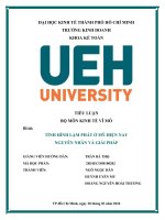 TIỂU LUẬN BỘ MÔN KINH TẾ VĨ MÔ Đề tài TÌNH HÌNH LẠM PHÁT Ở MỸ HIỆN NAY NGUYÊN NHÂN VÀ GIẢI PHÁP