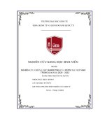 Nghiên cứu chiến lược marketing của pepsi tại việt nam