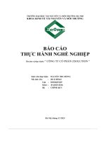 Báo cáo thực hành nghề nghiệp “ công ty cổ phần zsolution