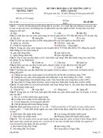 Đề hsg 4