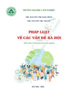 Pháp luật về các vấn đề xã hội