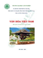 Văn hóa việt nam