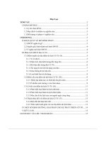 Phân tích swot của điểm du lịch cô tô