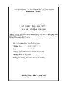 Tính toán thiết kế tháp hấp thụ và hấp phụ xử lý khí thải lưu lượng 28813 m3 h