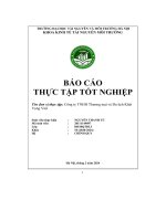 Báo cáo thực tập tốt nghiệp công ty tnhh thương mại và du lịch khát vọng việt