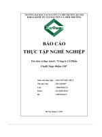 Báo cáo thực tập nghề nghiệp công ty cổ phần chuỗi thực phẩm th
