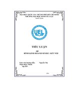 Tiểuluận đề hình kinh doanh số b2c kết nối