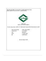 Báo cáo thực tập nghề nghiệp 3 công ty tnhh một thành viên thái hoàng linh