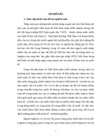 Luận văn ThS QTKD - Phát triển hoạt động kinh doanh dịch vụ logistics cho các doanh nghiệp giao nhận vận tải Việt Nam trên thị trường miền Nam Việt Nam