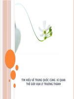 Tiểu Luận - Tìm Hiểu Về Trung Quốc Cùng  Kì Quan Thế Giới Vạn Lý Trường Thành