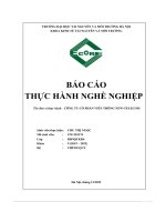 Báo cáo thực hành nghề nghiệp tại công ty cổ phần viễn thông new telecom