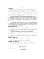 Phân tích các yếu tố tác động đến thị trường bất động sản nghỉ dưỡng thành phố đà nẵng